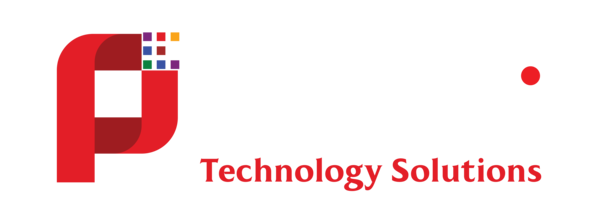 Panashi Technology Solutions